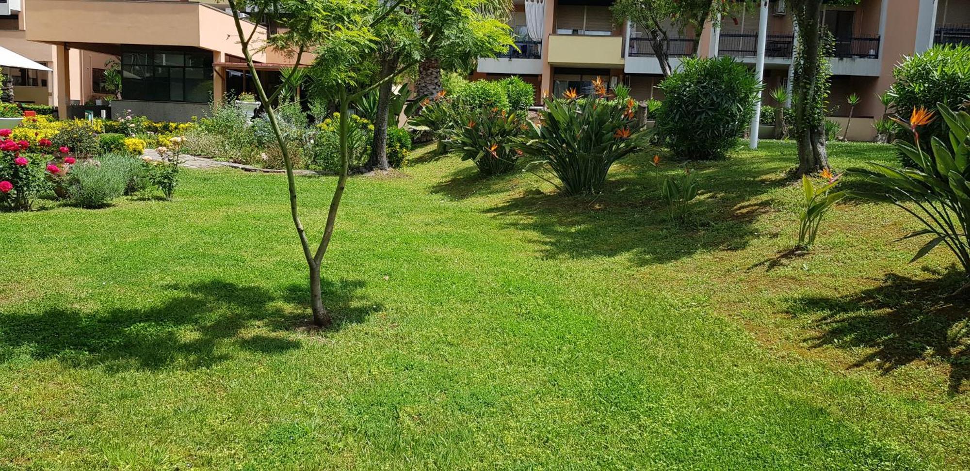 Green Oasis Roma Exterior foto